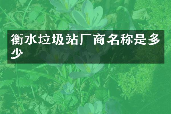 衡水垃圾站廠商名稱是多少