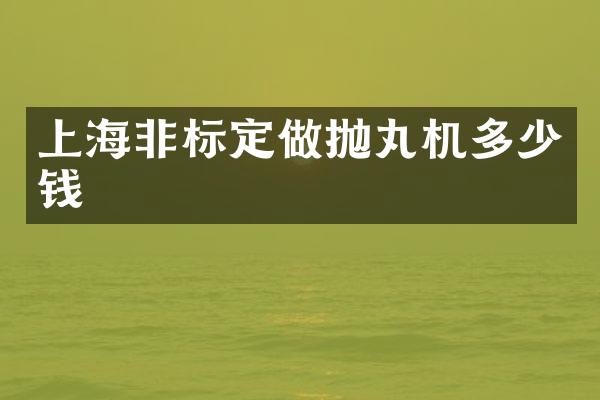 上海非標(biāo)定做拋丸機(jī)多少錢