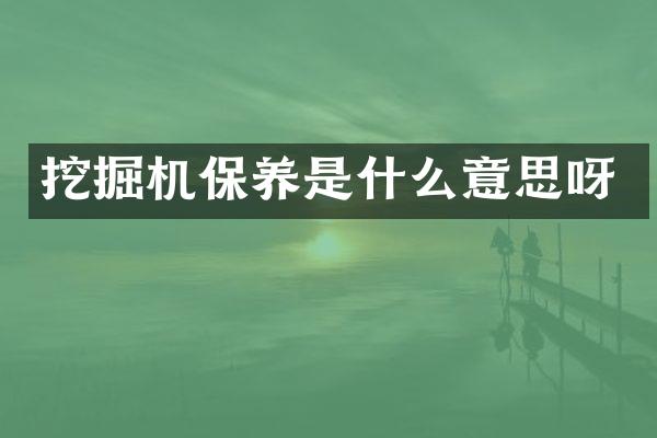 挖掘機(jī)保養(yǎng)是什么意思呀