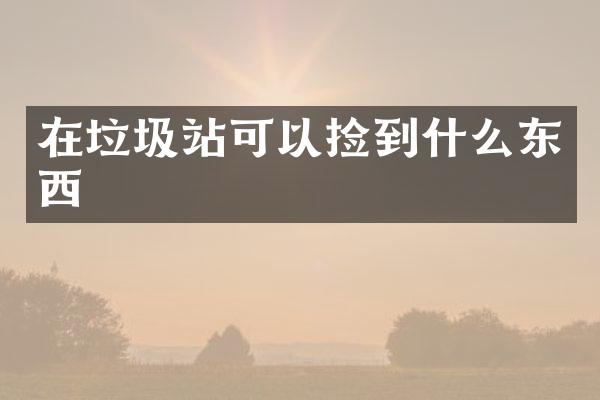 在垃圾站可以撿到什么東西