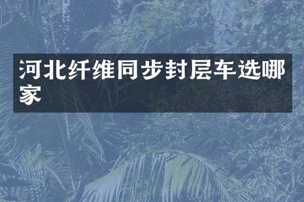 河北纖維同步封層車選哪家