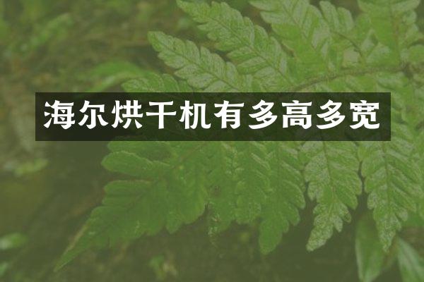 海爾烘干機(jī)有多高多寬