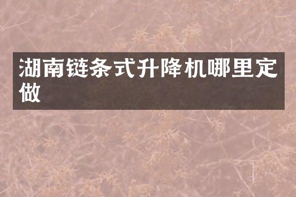 湖南鏈條式升降機(jī)哪里定做