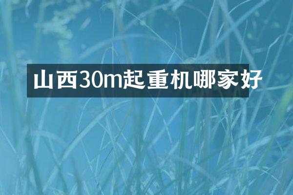 山西30m起重機(jī)哪家好