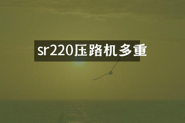 sr220壓路機(jī)多重