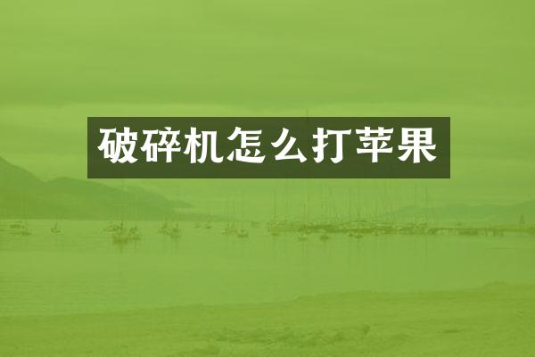 破碎機(jī)怎么打蘋果