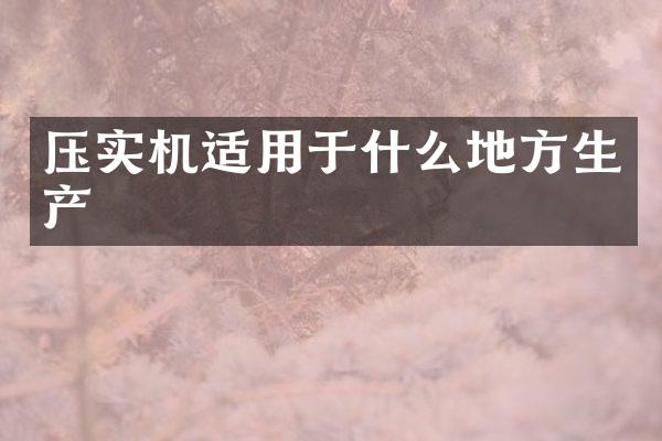 壓實(shí)機(jī)適用于什么地方生產(chǎn)