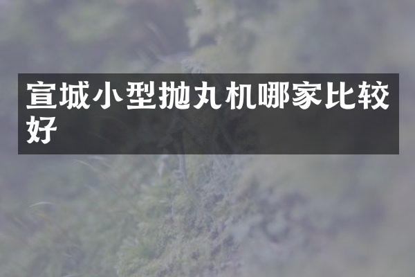 宣城小型拋丸機哪家比較好