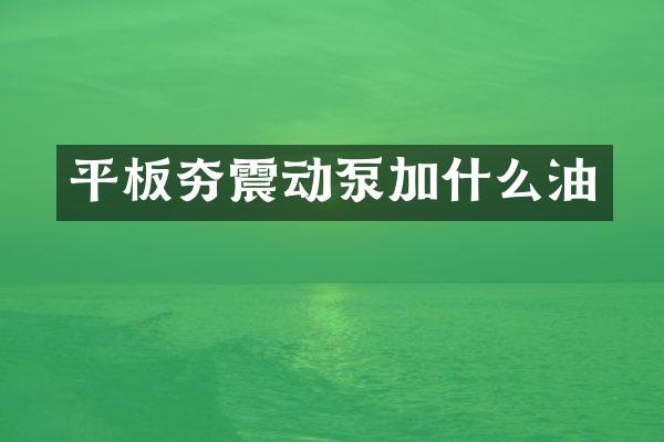 平板夯震動泵加什么油