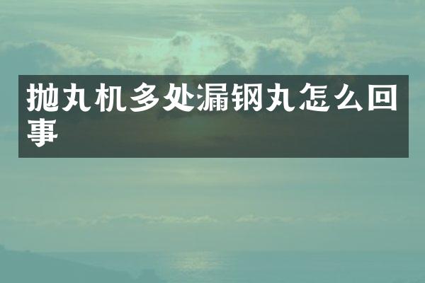 拋丸機(jī)多處漏鋼丸怎么回事