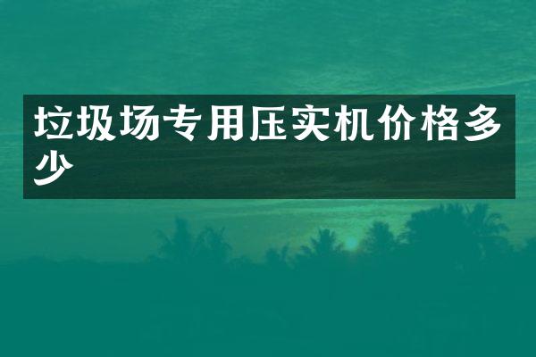 垃圾場(chǎng)專用壓實(shí)機(jī)價(jià)格多少