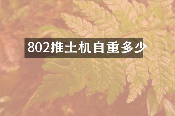 802推土機(jī)自重多少