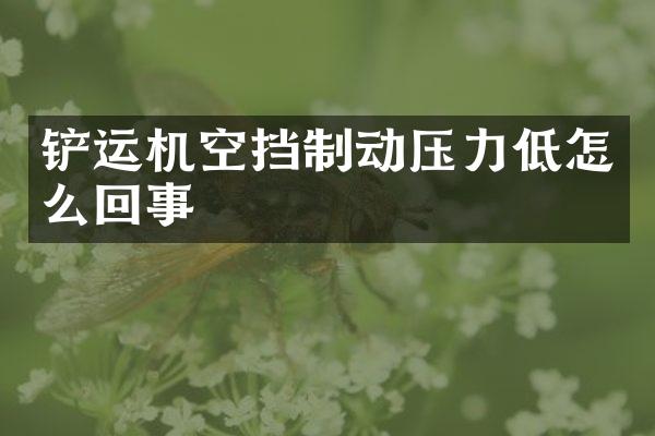 鏟運機空擋制動壓力低怎么回事