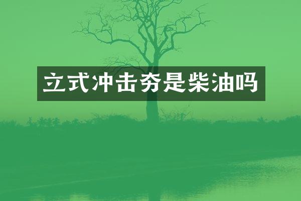 立式?jīng)_擊夯是柴油嗎