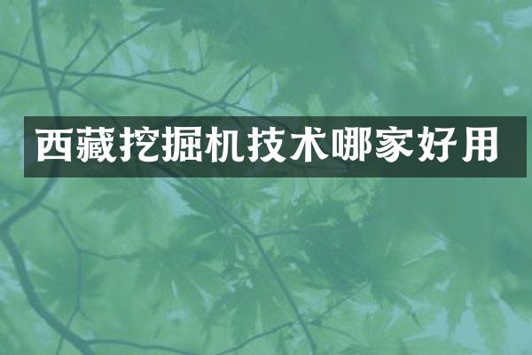 西藏挖掘機技術(shù)哪家好用