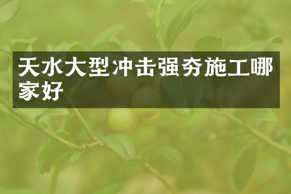 天水大型沖擊強(qiáng)夯施工哪家好