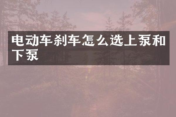 電動車剎車怎么選上泵和下泵