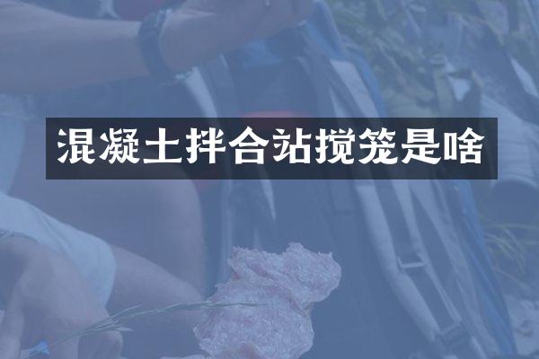 混凝土拌合站攪籠是啥