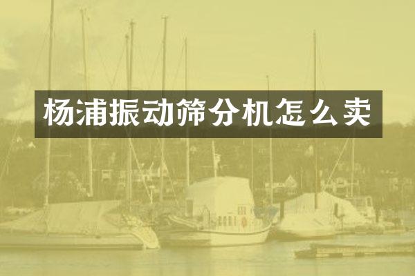 楊浦振動篩分機(jī)怎么賣