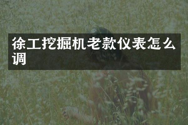 徐工挖掘機老款儀表怎么調(diào)