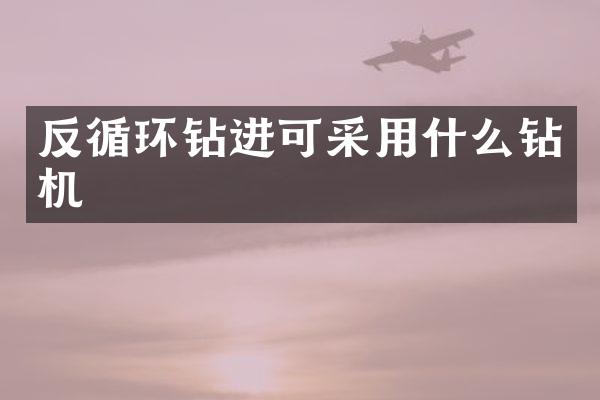 反循環(huán)鉆進可采用什么鉆機