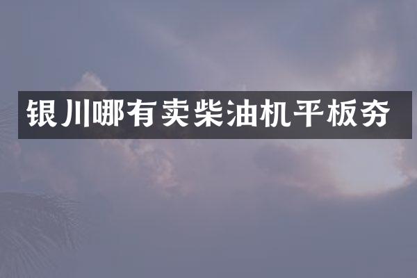 銀川哪有賣柴油機(jī)平板夯