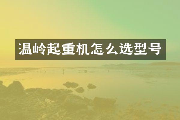 溫嶺起重機怎么選型號