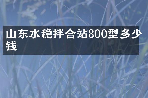 山東水穩(wěn)拌合站800型多少錢