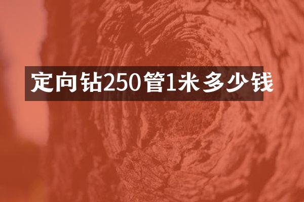 定向鉆250管1米多少錢(qián)