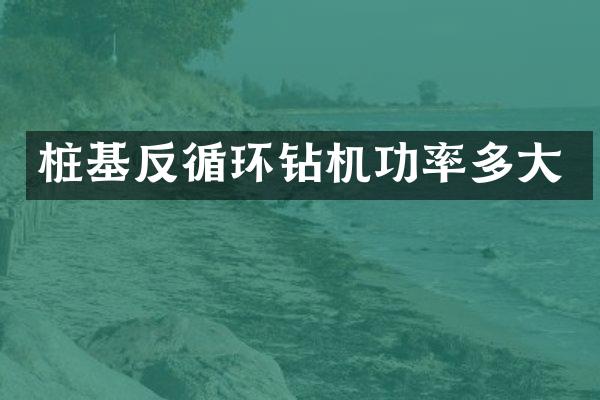 樁基反循環(huán)鉆機功率多大