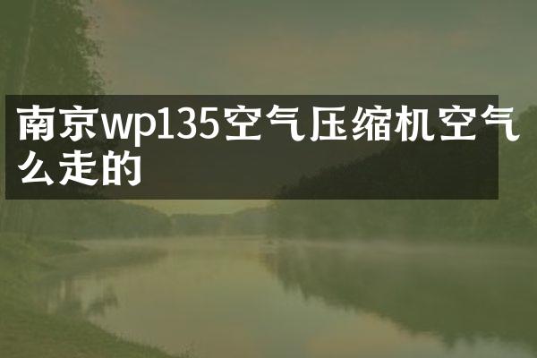 南京wp135空氣壓縮機空氣怎么走的