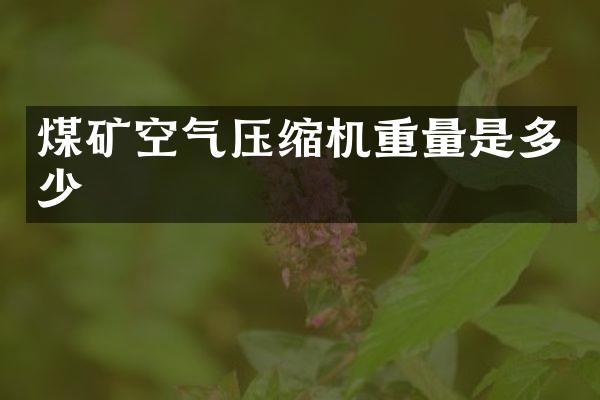 煤礦空氣壓縮機重量是多少