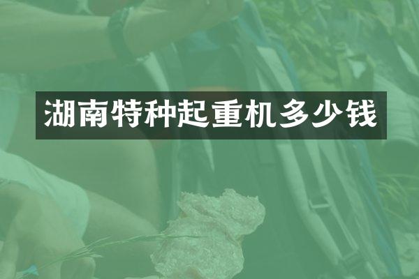 湖南特種起重機(jī)多少錢