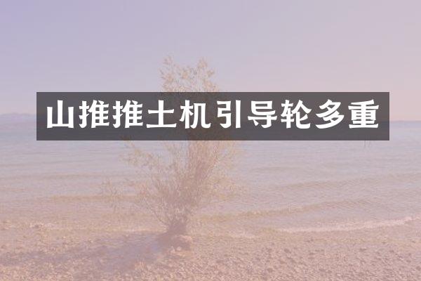 山推推土機(jī)引導(dǎo)輪多重