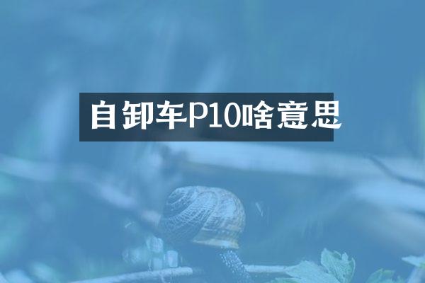 自卸車P10啥意思