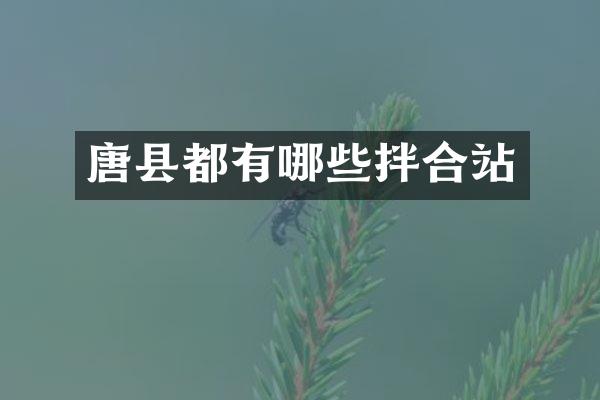 唐縣都有哪些拌合站