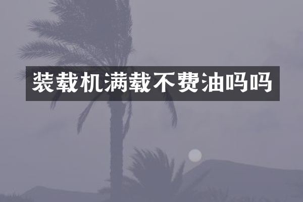 裝載機滿載不費油嗎嗎