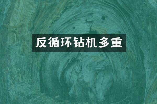 反循環(huán)鉆機多重