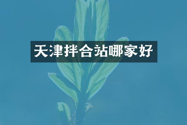 天津拌合站哪家好