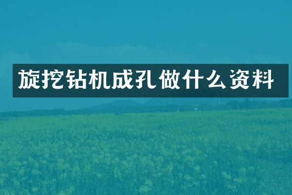 旋挖鉆機成孔做什么資料