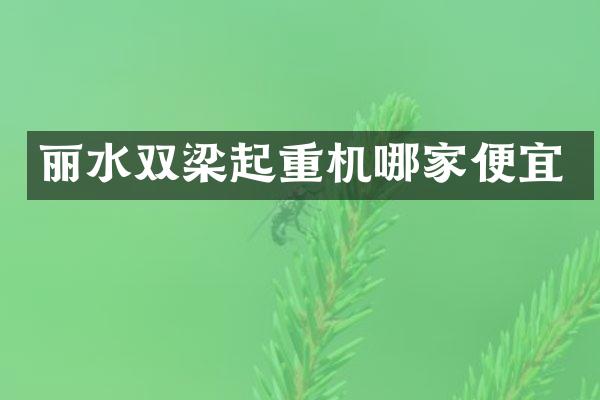 麗水雙梁起重機哪家便宜