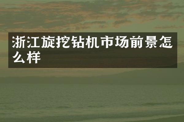 浙江旋挖鉆機市場前景怎么樣