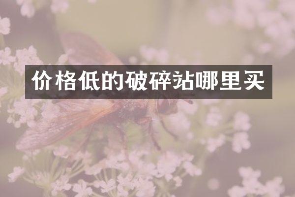 價格低的破碎站哪里買