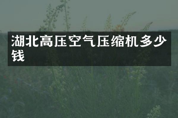 湖北高壓空氣壓縮機(jī)多少錢