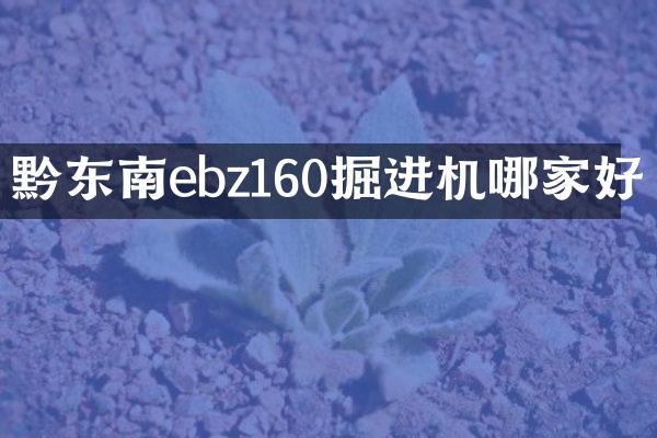 黔東南ebz160掘進(jìn)機(jī)哪家好