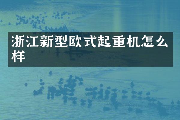 浙江新型歐式起重機怎么樣