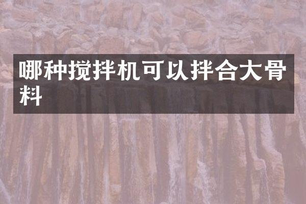 哪種攪拌機(jī)可以拌合大骨料