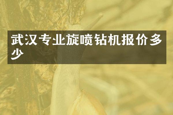 武漢專業(yè)旋噴鉆機報價多少