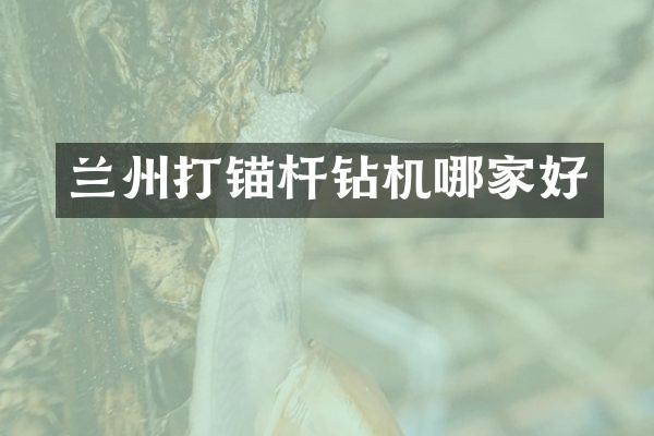 蘭州打錨桿鉆機(jī)哪家好