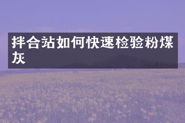 拌合站如何快速檢驗粉煤灰